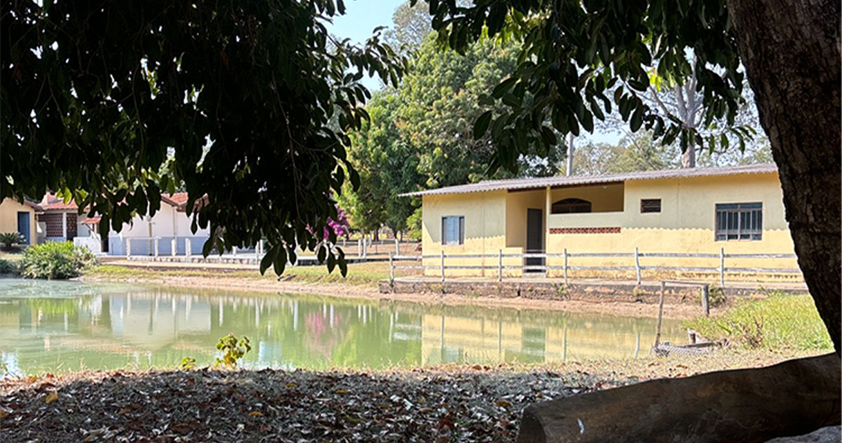 Área externa da Reviva com tanque e casa